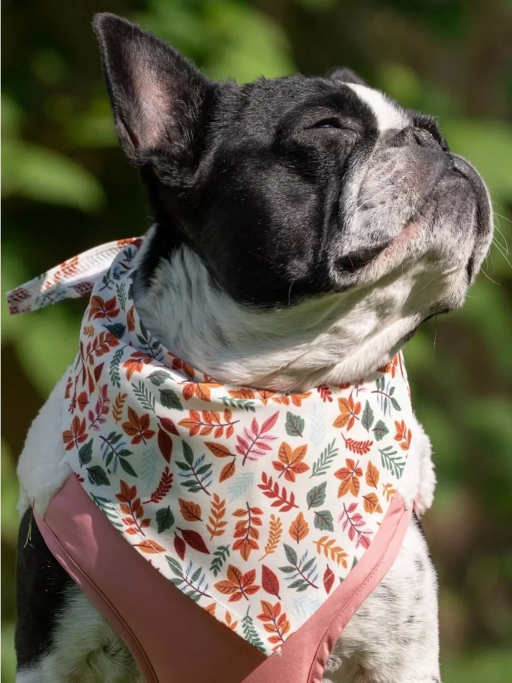 SportPet Fall Florals Pet Bandana size M/L NWT